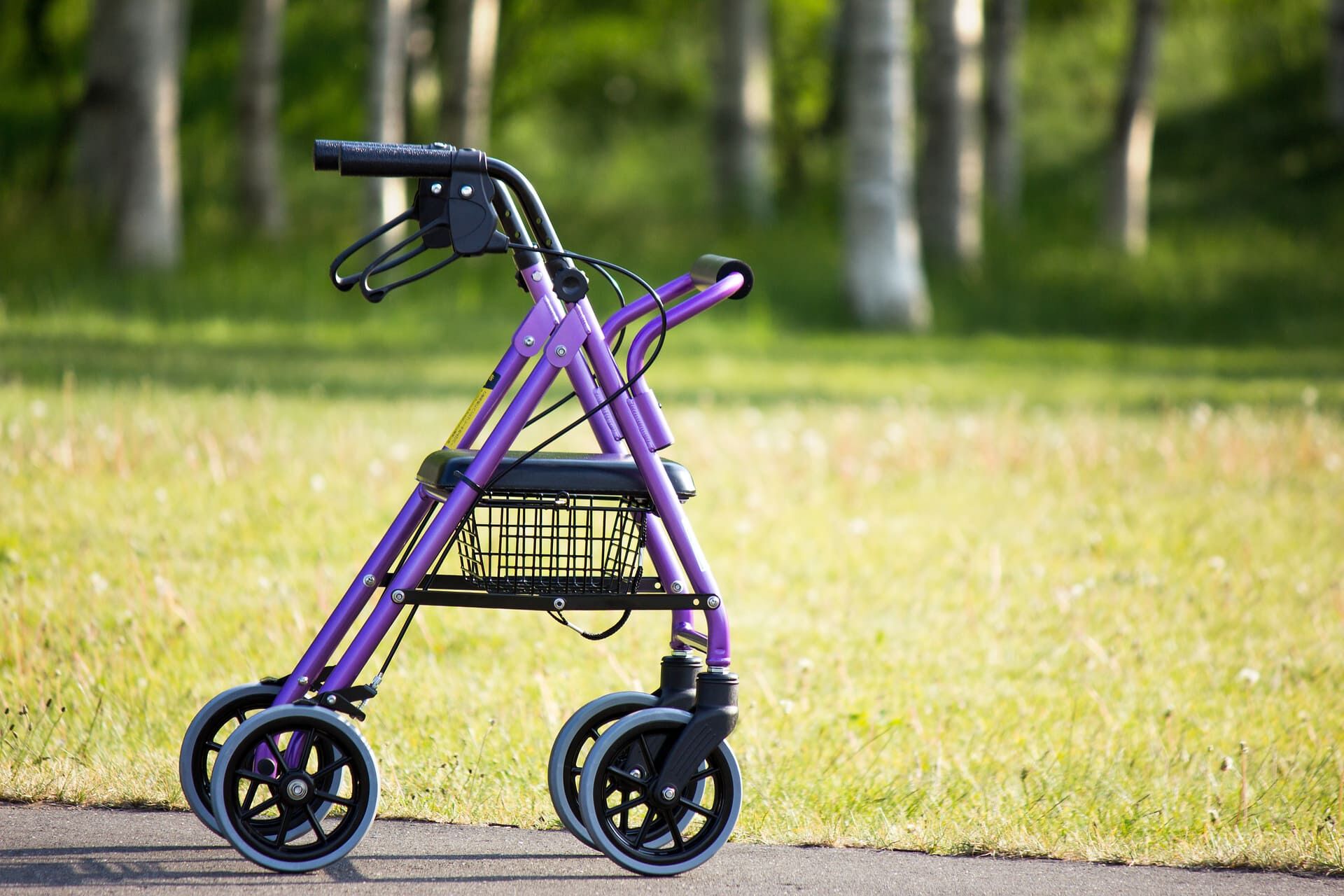 AdobeStock_259074877